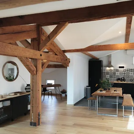 Jardin Des Anges - Castillet View - Wifi- Centre Apartment Perpignan