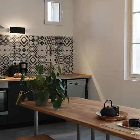 Jardin Des Anges - Castillet View - Wifi- Centre Apartment Perpignan